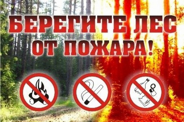 Природные пожары - причины, последствия и правила безопасного поведения в лесу Важная информация: причины возникновения природных пожаров и правила безопасного поведения в лесу