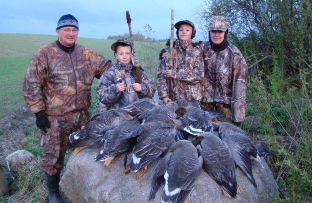 Охота на уток: сроки, правила и способы охоты в России
