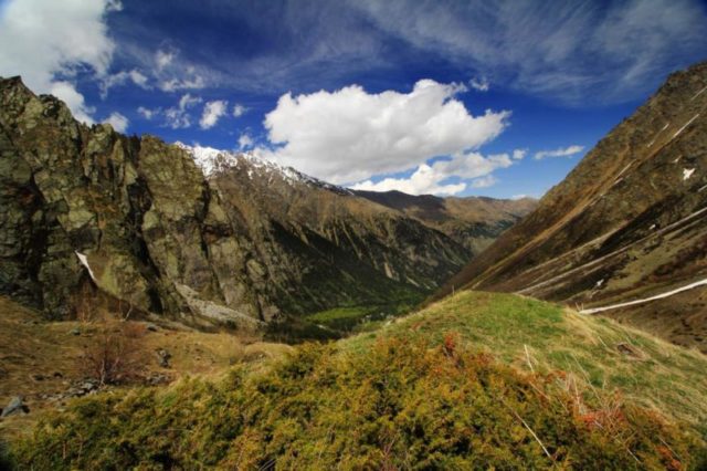 Заключение