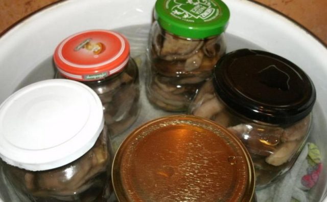 Блюда со свинушками на зиму: 9 лучших рецептов