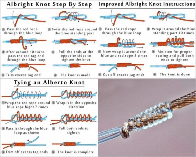 Изучаем рыболовный узел Рыболовный узел “Морковка” и “Олбрайт”: подробная инструкция и особенности