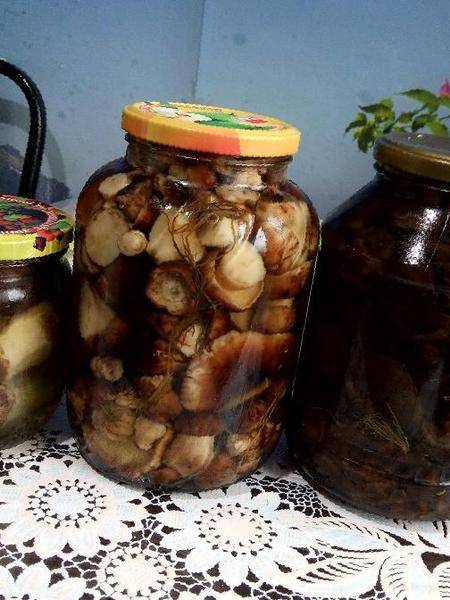 8. Шашлык из свинушек