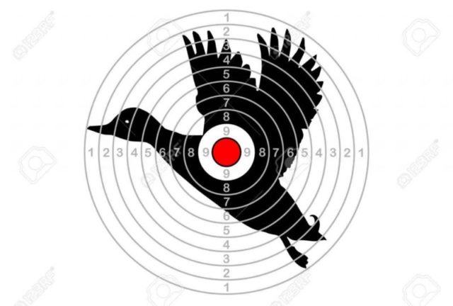 Мишень в форме «человека» №8