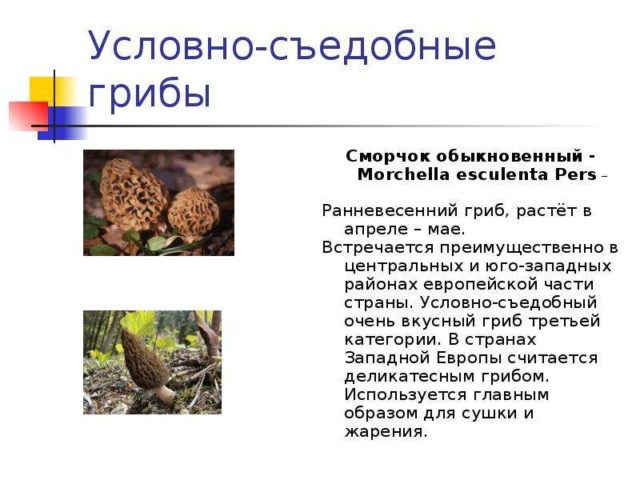 4. Необходимость предварительной обработки