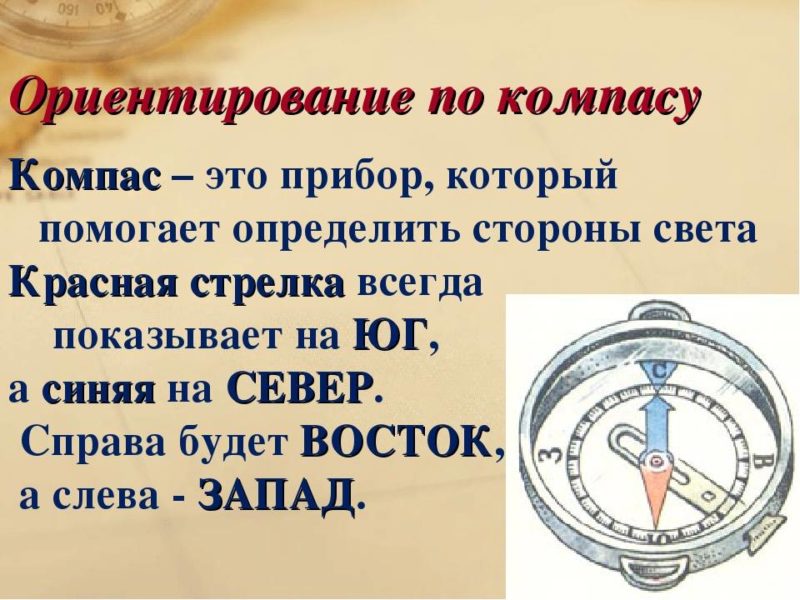 Как определить стороны света без компаса: подсказки для забывчивых