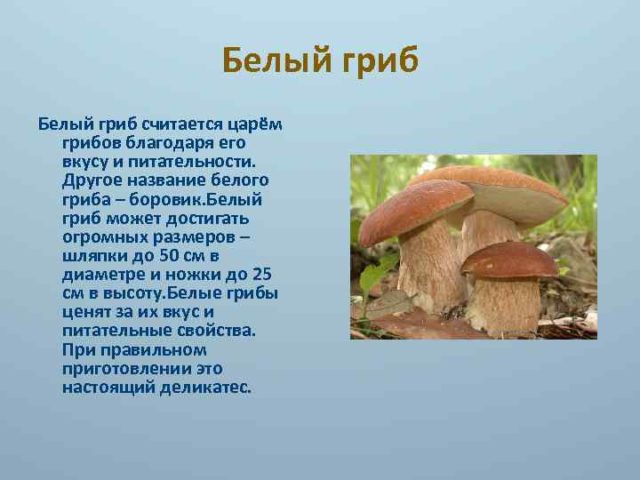 Заключение