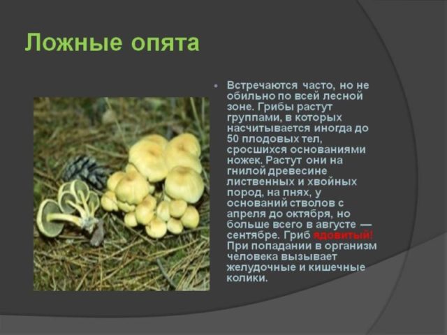 1. Отличительные признаки