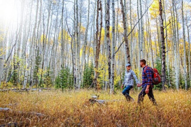 Молодая пара на прогулке в лесу с аспенами, штат Колорадо 1369643662