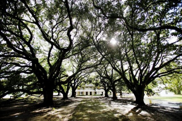 Плантация Уитни в Уоллесе, Луизиана, открыта для публики в качестве исторической плантации рабов и музея