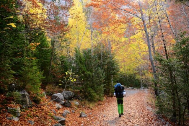 520104626 Взрослый; Только для взрослых; Приключение; Рюкзак; Турист; Красота природы; Бук; Пешие походы; Пейзаж; Лист; Только мужчины; Национальный парк Ордеса; Активный отдых на свежем воздухе; На улице; Пиренеи; Торла; Каникулы; Долина; Яркий цвет; Прогулка; Арагон; Осень; Лес; Полная длина; Неметропольный пейзаж; обьект Объект объект Объект объект Объект объект Объект объект Объект объект Объект объект Объект объект Объект объект Объект объект Объект объект Объект объект Объект объект Объект объект Объект объект объект О; Только один человек; Один человек; Только один молодой человек; Каньон; Цветное изображение; Горизонтальное; Провинция Уэска; Иберийский полуостров; Идиллический; Величественный; Мужской; Люди; Фотография; Пейзажи; Спокойный пейзаж; Туристические направления; Дерево; Молодой взрослый; Молодые мужчины; Европа; Гора; Природа; Испания; Осенние походы в национальном парке Ордеса и Монте Пердидо, Пиренеи, Испания