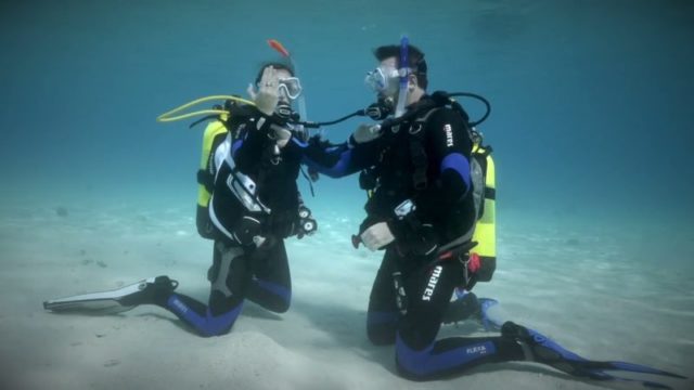 Приключения на уровне моря: откройте для себя чудеса подводного мира