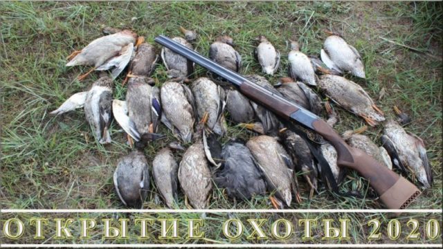 Охота на уток при свете луны