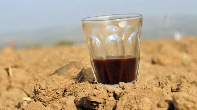 Действительно ли кофе и чай приводят к обезвоживанию?