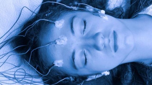 Гуманная спячка: секреты большого сна