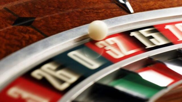 Почему мы азартные игроки, словно обезьяны