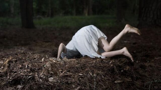 Пять вещей, которые «Алиса в стране чудес» рассказывает о мозге