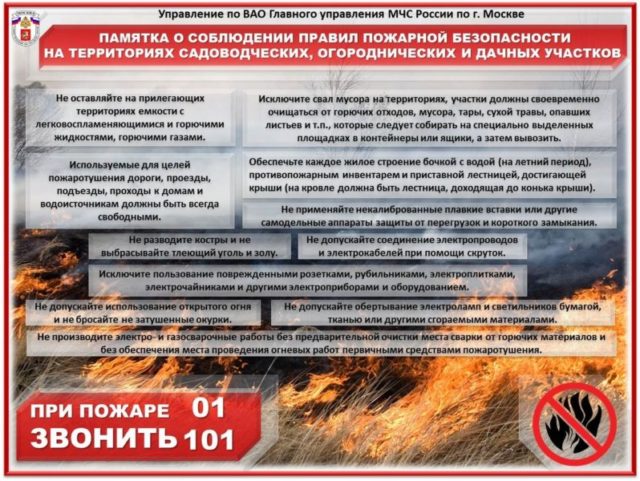 Предупреждение для россиян: штрафы в 50 тысяч рублей за шашлыки на природе