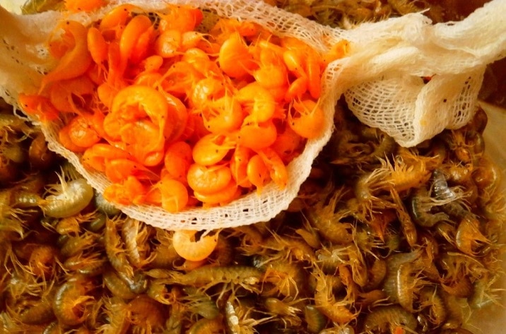 Сушка мормыша для рыбалки