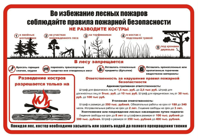 Понимание и предотвращение лесных пожаров: 1.1.1. Руководство для защиты лесных территорий