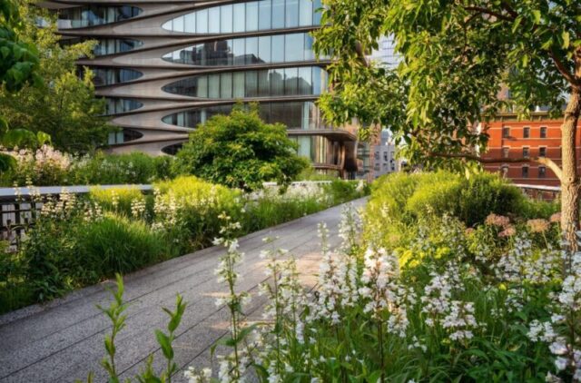 Променад на Хай Лайн летом. Поднятый зеленый парк в сердце Челси, Манхэттен. Нью-Йорк, Тип лицензии: медиа, Время загрузки: 2024-09-01T17:00:57.000Z, Пользователь: pinkjozie64, Редакционно: нет, заказ: 56530, работа: Global Publishing WIP, клиент: Experience New York 2, другое: Jo-anne Riddell