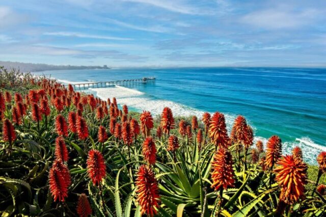 Маяк на пирсе Скриппс в Ла Джолле, Калифорния, Тип лицензии: media_digital, Время загрузки: 2024-09-10T11:59:07.000Z, Пользователь: clairenaylor, Редакционно: нет, номер заказа: 65050, работа: Онлайн редакция, клиент: идеальный уикенд в Сан-Диего, другое: Клэр Нейлор