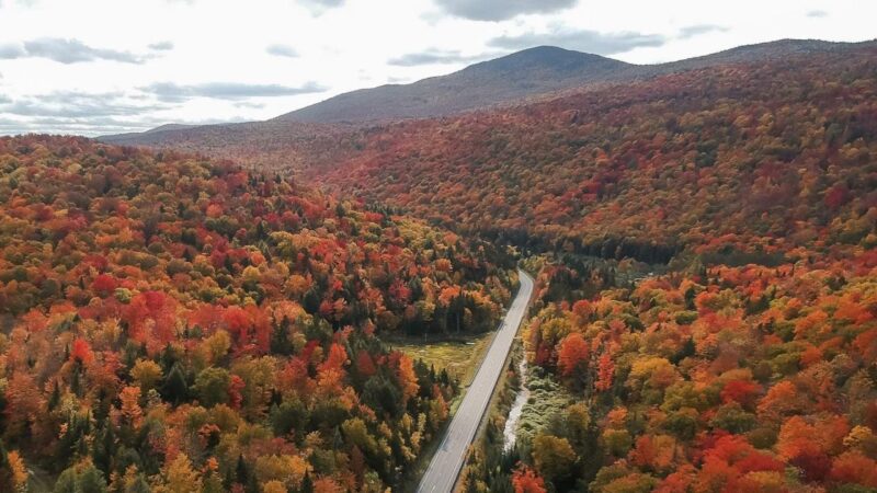 Потрясающая осенняя листвa в Новой Англии. Аэросъемка, живописная дорога в Стове, Вермонт, США. Умопомрачительные цвета в ясный день; Shutterstock ID 2509741817; заказ: 65050 - Цифровые назначения и статьи; работа: наше редакционное онлайн-редактирование; клиент: Лучшие маршруты в Вермонте; другое: Брайан Хили 2509741817 аэросъемка, америка, осень, фон, красивый, вид с высоты птичьего полета, живописная дорога, смена листвы, цвет, яркие деревья, цвета, цель, дрон, осень, осенняя листвa, листвa, лес, отдых, автомагистраль, пейзаж, листья, гора, природа, новая англия, северная америка, оранжевый, оранжевые листья, на улице, температура пика, удаленный, дорога, поездка на автомобиле, живописный, сезон, тур, туризм, транспорт, путешествие, поездка, дерево, деревья, США, отпуск, желтый Потрясающая осенняя листвa в Новой Англии. Аэросъемка, живописная дорога в Стове, Вермонт, США. Умопомрачительные цвета в ясный день