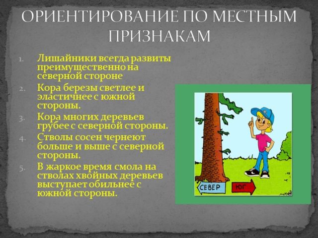 3 Ориентирование по местным признакам